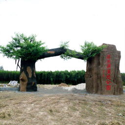 濮陽假山大門,假山大門圖片