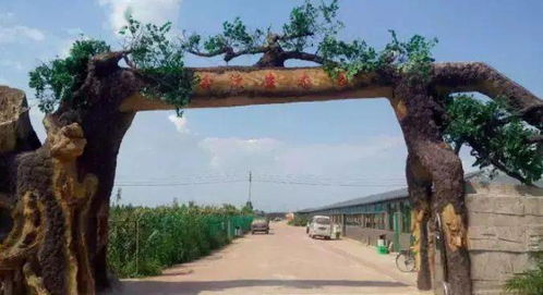 什么 僅需1元即可搶購這個灤州生態(tài)園的綠色生菜一大顆,這里還有菜地可認養(yǎng)