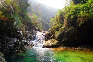 數(shù)據(jù) 2018中國森林旅游和康養(yǎng)超16億人次