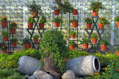 北京市延慶區(qū) 香龍路 春觀花休閑之旅