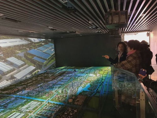 九龍?zhí)渡鷳B(tài)園四年簽約項目超百個，總投資額突破460億元，生態(tài)經(jīng)濟蓬勃發(fā)展