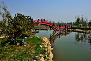 新建中的保定生態(tài)園 九龍?zhí)渡鷳B(tài)園——未來(lái)城市綠心的展望